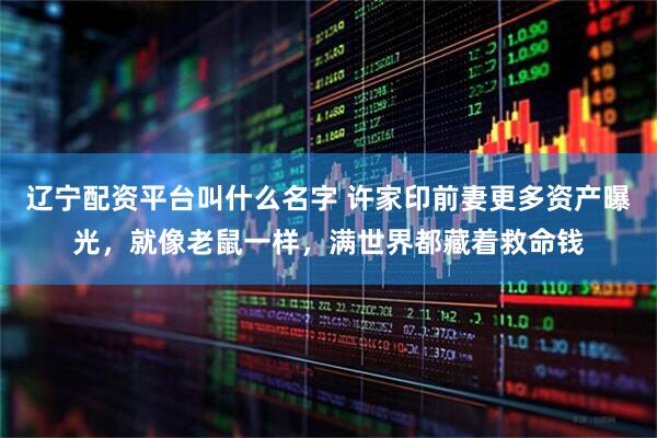 辽宁配资平台叫什么名字 许家印前妻更多资产曝光，就像老鼠一样，满世界都藏着救命钱