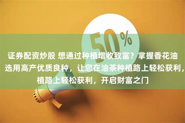 证券配资炒股 想通过种植增收致富？掌握香花油茶苗种植指南，选用高产优质良种，让您在油茶种植路上轻松获利，开启财富之门